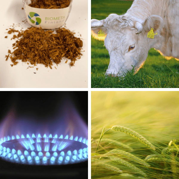 Biotuotelaitos Tuotekortit